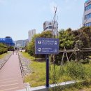 해운대블루라인파크 해변열차 재탑승으로 알게 된 코스추천 및 시간 가격 주차