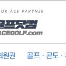 에이스골프닷컴 이미지