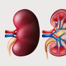 한마음내과 이미지
