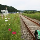 하동레일파크 이미지