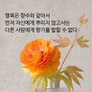 화요일 이미지