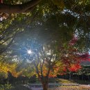 수만리 생태숲공원 | 수만리생태숲공원&amp;무등산 바우정원