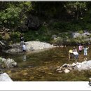 김삿갓농장 이미지