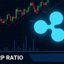 더크립24 이미지