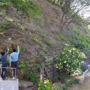 낙성대동-23 이미지