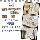이와인공인중개사사무소 | 부산 진구 양정동 양정역 월세/전세 신축 팬트 형 듀플렉스 오피스텔 방 3 욕실 2 초역세권 양정역 인근...