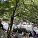 이마트24 R함양상림공원점 | [국내여행] 울산 철구소 계곡 후기!(+울주휴게소(함양) 리뷰)