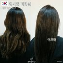 2936 | 서울 대치동 미용실 에코쟈뎅 새치 염색 클리닉 후기