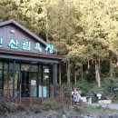 화인애견 이미지