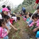 다슬기초량마을 이미지