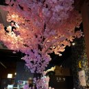 씨유 염창트리타워점 | 울산 삼산 이자카야 도쿄밤 솔직후기 울산 달동 술집 추천