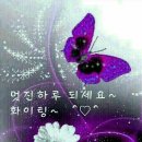 수요일 이미지