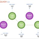 서울스쿼시 - 영등포구 국제금융로8길 19 | 서울스쿼시