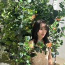 에이트바디 | 압구정 1인PT샵 에이트바디 체형교정 1회차 후기