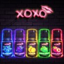 XOXO(엑스오엑스오)