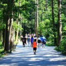 석포리 경로당 이미지