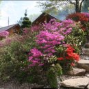 크레용캠프펜션 이미지