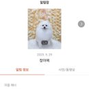 견생의하루 펫살롱 일산본점 이미지