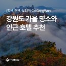 정선아리귀뚜라미농장 | [강원도 가을 여행-1] 정선, 춘천, 속초 가을 여행지 추천 + 강원도 호텔에서만 사용 가능한 할인 쿠폰...