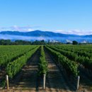 유년시절 이미지