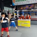 동화복싱클럽 네이버블로그