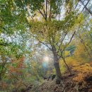 청룡저수지 이미지