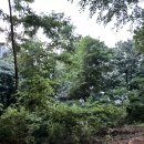 석수골운동장 이미지