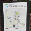 문화원 탐방- 3일 차 해인사 이미지