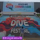 민화 | 2025 충주 다이브축제 페스티벌 후기 가수 라인업 먹거리 주차장