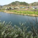 예향의 숲 이미지