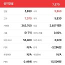 상지도시개발