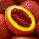 바른 컴퍼니 이미지