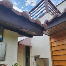 금정산성 금성 | 금정산성 맛집 금성 연말 가족모임 보양식으로 딱 좋은 곳