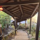 마룸 | 유후인 숙소 추천 | 산소와레모코우 후지노마룸 료칸 후기 (프라이빗 개인 노천탕·가이세키 포함)