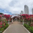 세종공원 이미지