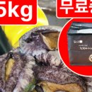 단장마트 이미지