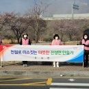 2021.3.25 08:00~ 진성면 삼거리에서 친절 및 코로나 선재검사 캠페인을 실시했습니다. 이미지