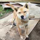 게스트하우스에버 이미지