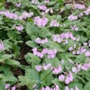 고정농장 이미지