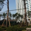 평택힐스테이트 2차 아파트 이미지