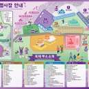 제2회 장항 맥문동 [2024년 8월 25일(음:7월 22일)일출 5시 56분.일몰20시12분] 이미지