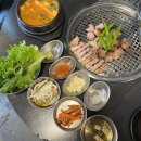5641 | 대전 둔산동 맛집 오백돈 대전본점 솔직 후기