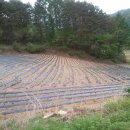 2단지대지공인중개사사무소 이미지