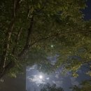 달달 무슨 달 이미지