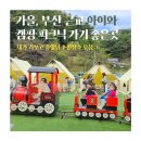 도서관 마당에서 가을 숲 캠핑 | 가을 부산 근교 아이와 캠핑·피크닉 가기 좋은 곳 추천장소 모음:)