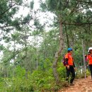 옥산제방 이미지