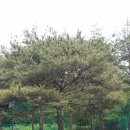 석수공원 이미지