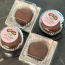 TRUST GYM | work and study balance