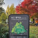 안중근공원 | 숲길, 주말 서울 가볼만한 곳 데크길 산책로 가을단풍명소 +남산도서관, 안중근의사기념관, 백범광장공원