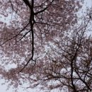 하늘빛소공원 이미지